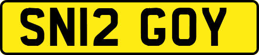 SN12GOY