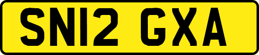 SN12GXA