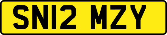 SN12MZY