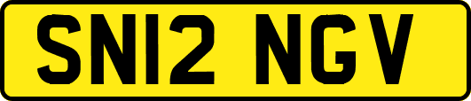 SN12NGV