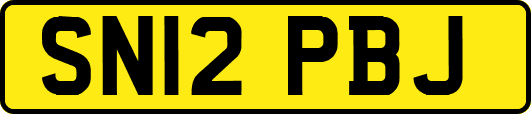 SN12PBJ