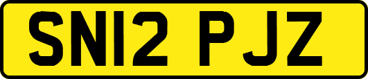 SN12PJZ