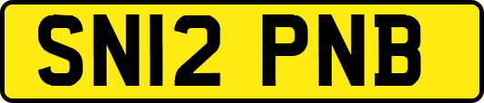 SN12PNB