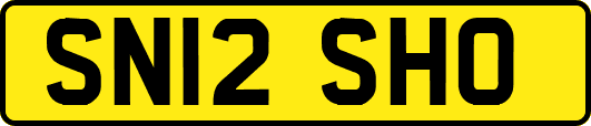 SN12SHO