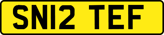 SN12TEF