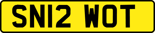 SN12WOT