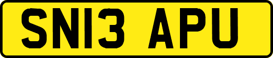 SN13APU