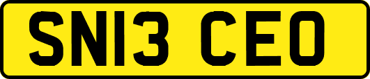 SN13CEO
