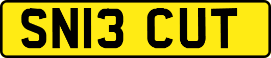 SN13CUT