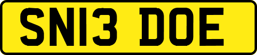 SN13DOE