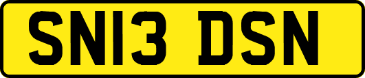 SN13DSN
