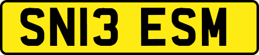 SN13ESM