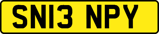 SN13NPY