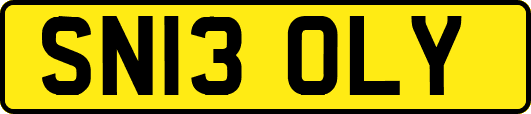SN13OLY