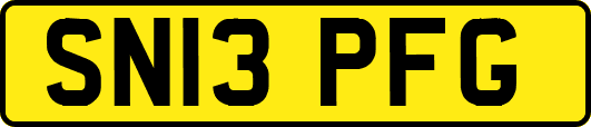 SN13PFG