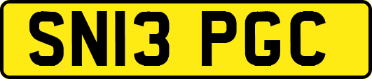SN13PGC