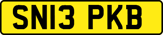 SN13PKB