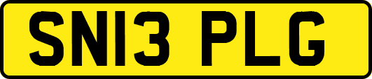 SN13PLG
