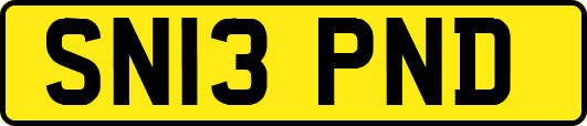 SN13PND