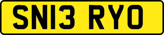 SN13RYO