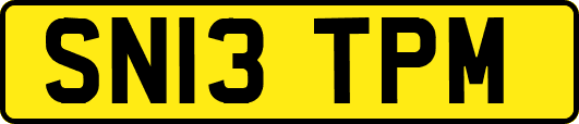 SN13TPM