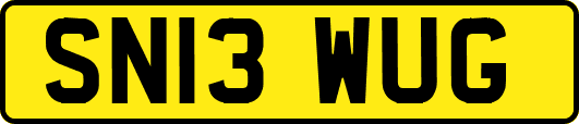 SN13WUG