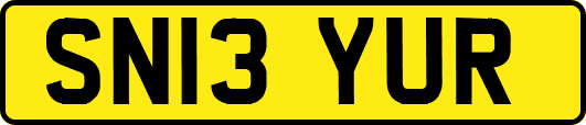 SN13YUR