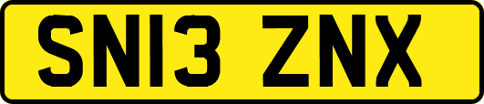SN13ZNX