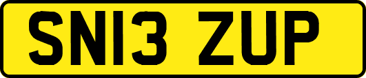 SN13ZUP
