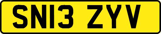SN13ZYV