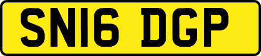 SN16DGP