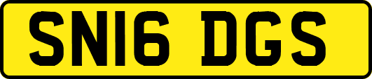 SN16DGS