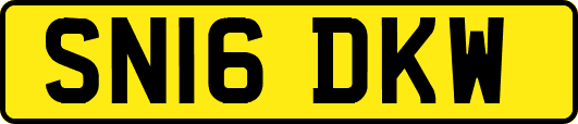 SN16DKW