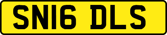 SN16DLS