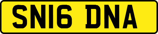 SN16DNA