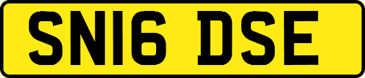 SN16DSE