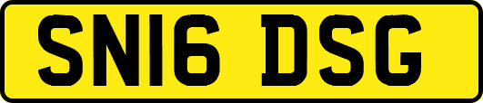 SN16DSG
