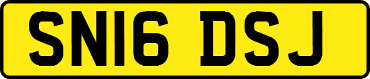 SN16DSJ