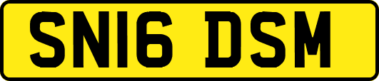 SN16DSM