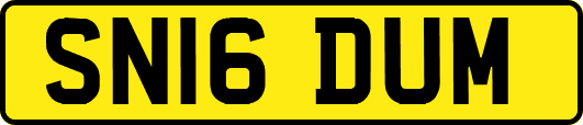 SN16DUM