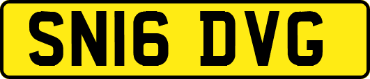 SN16DVG