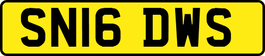 SN16DWS