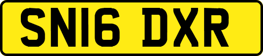 SN16DXR