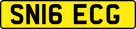 SN16ECG