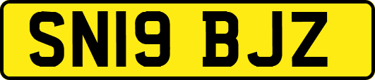SN19BJZ