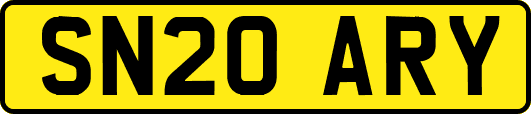 SN20ARY