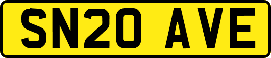 SN20AVE