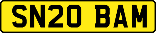 SN20BAM