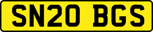 SN20BGS