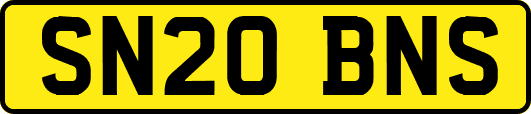 SN20BNS